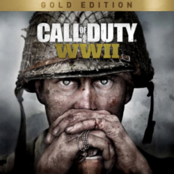 💜 Call of Duty: WW2/WWII | PS4/PS5 | Турция 💜