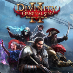 Divinity: Original Sin 2  | PS4/PS5 | Турция