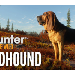 theHunter Call of the Wild - Bloodhound (DLC) STEAM КЛЮЧ