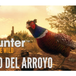 theHunter Call of the Wild - Rancho del Arroyo (STEAM КЛЮЧ)