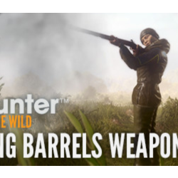 theHunter Call of the Wild Smoking Barrels Weapon Pack (STEAM КЛЮЧ)