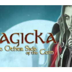 Magicka: The Other Side of the Coin DLC STEAM KEY