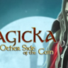Magicka: The Other Side of the Coin DLC STEAM KEY
