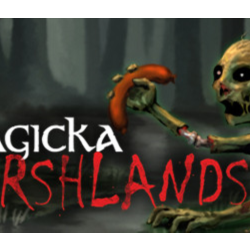 Magicka Marshlands DLC STEAM KEY REGION FREE GLOBAL ROW