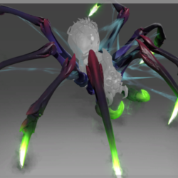 Limbs of Lycosidae