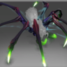 Limbs of Lycosidae