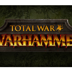 Total War: WARHAMMER   3 DLC 🔑STEAM КЛЮЧ ✔️РОССИЯ  МИР