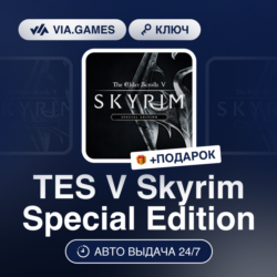 TES V Skyrim Special Edition (Steam Ключ) МИР (Не все страны)   ПОДАРОК