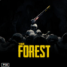 The Forest | PS4/PS5 | Турция