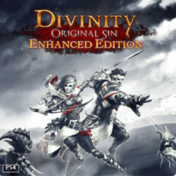 DIVINITY ORIGINAL SIN | PS4/PS5 | Турция