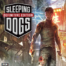 Sleeping Dogs | PS4/PS5 | Турция