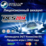 Pro Evolution Soccer 2014  Steam АКЦИЯ 0% Карты