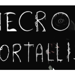 Necro Immortallis STEAM KEY REGION FREE GLOBAL ROW   🎁