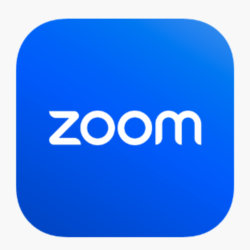 Подписка Zoom Зум Профессиональный [1/12 МЕСЯЦЕВ]