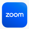 Подписка Zoom Зум Профессиональный [1/12 МЕСЯЦЕВ]