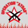 Операция "АЙДАР"