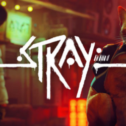 STRAY 💎 [ONLINE STEAM] ✅ Полный доступ ✅   🎁