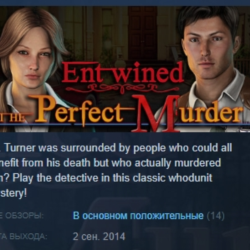 Entwined: The Perfect Murder 💎 STEAM KEY REGION FREE