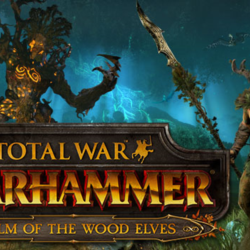 Total War Warhammer The Realm of the Wood Elves Ключ