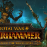 Total War Warhammer The Realm of the Wood Elves Ключ