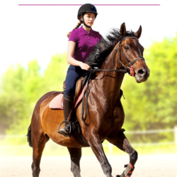 My Little Riding Champion Xbox One|X|S активация