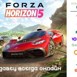 Forza Horizon 5  STEAM