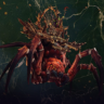 Total War: Warhammer II    Catchweb Spidershrine  DLC