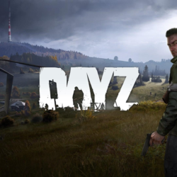 DayZ (PS4/RUS) П3-Активация