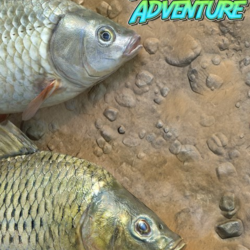 ✅ Fishing Adventure Xbox One|X|S активация