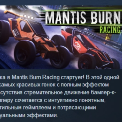 Mantis Burn Racing АВТОДОСТАВКА STEAM GLOBAL МГНОВЕННО ЛИЦЕНЗИЯ