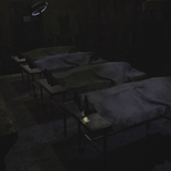 The Experiment: Escape Room Xbox One|X|S активация