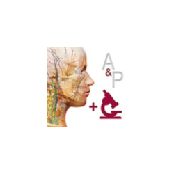 A&P: Anatomy and Physiology   Microsoft Store ПК Активация