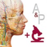 A&P: Anatomy and Physiology   Microsoft Store ПК Активация