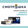 Смотрёшка ПЛЮС 30 дней купон. Непубличный промокод | Особые условия Smotreshka.tv
