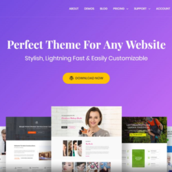 DIVI|Astra|Elementor|RankMath|WP-Rocket PRO LicenseKEY