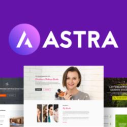 Astra Pro Plugin пожизненная оригинальная лицензия