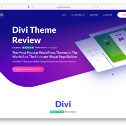 Divi Wordpres пожизненная оригинальная лицензия
