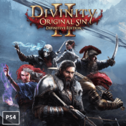 Divinity: Original Sin 2     PS4  | Турция PS
