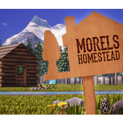 Morels: Homestead⚡АВТОДОСТАВКА Steam Россия
