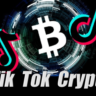 База Tik Tok каналов по криптовалюте, NFT - 800 шт