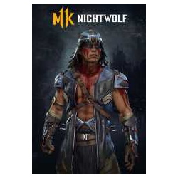 Mortal Kombat 11 Nightwolf Steam Gift RU/СНГ/TR