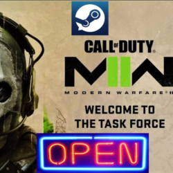 Call of Duty Modern warfare 2 2022 (STEAM) 48 часов