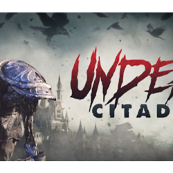 Undead Citadel 💎 АВТОДОСТАВКА STEAM GLOBAL МГНОВЕННО ЛИЦЕНЗИЯ