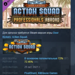 Door Kickers Action Squad Professionals Abroad АВТОДОСТАВКА STEAM GLOBAL МГНОВЕННО ЛИ