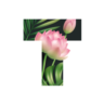 Text Текст на фото шрифты арт PRO iPhone ios AppStore