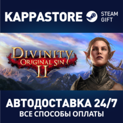Divinity: Original Sin 2 - Eternal Edition Steam RU