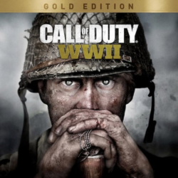 Call Of Duty: WW2 / COD: WW2  PS4/PS5    Турция