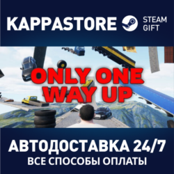 Only One Way Up⚡АВТОДОСТАВКА Steam Россия