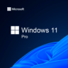 Windows 11 Professional 32/64 bit Retail