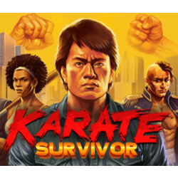 Karate Survivor Steam ключ Весь Мир Global RU/CIS РФ Россия key код cтим СНГ Глобал